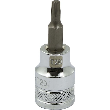 Dynamic Tools 3/8 Drive Torx Head, T20 Bit Regular Length, Chrome Socket D006320